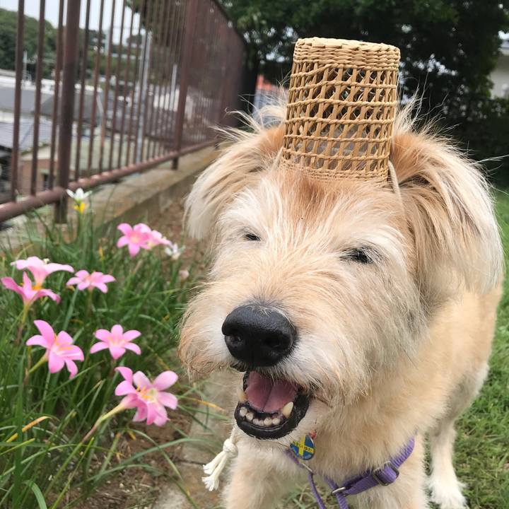 9c9e7cad 0ccb 4111 a10a c047dff32c20 1600241720761