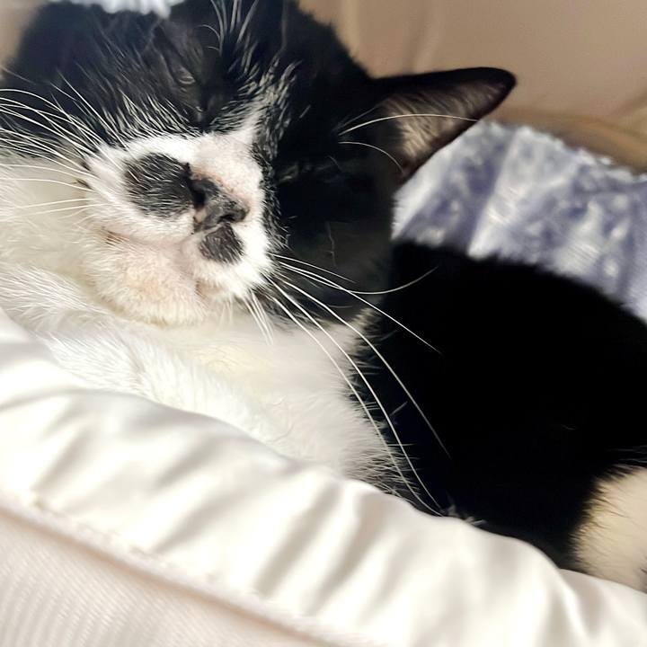 9c9e7f9d 3e0f 402b bc04 e94ef474c148 1667406538807