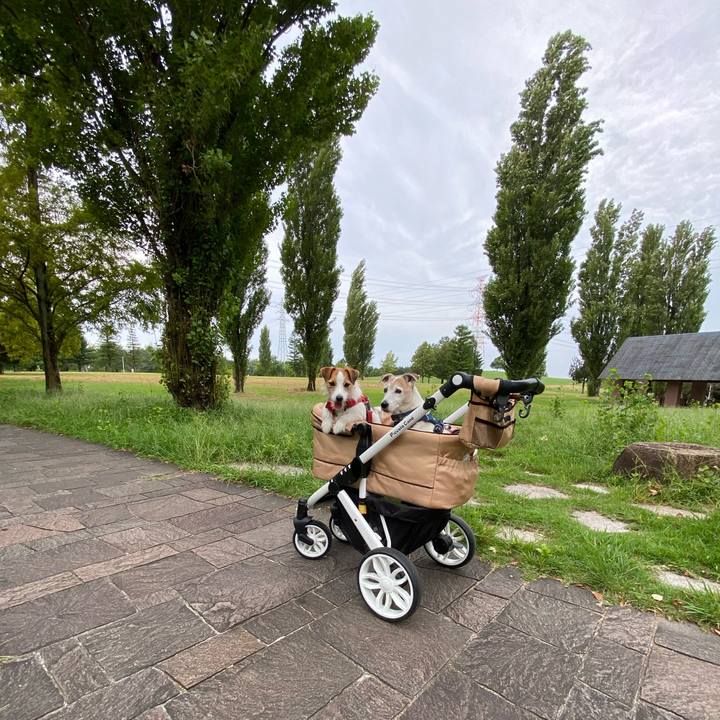 9c9e8e1c 8865 43b1 8a6c 96ea57496a28 1663480706865