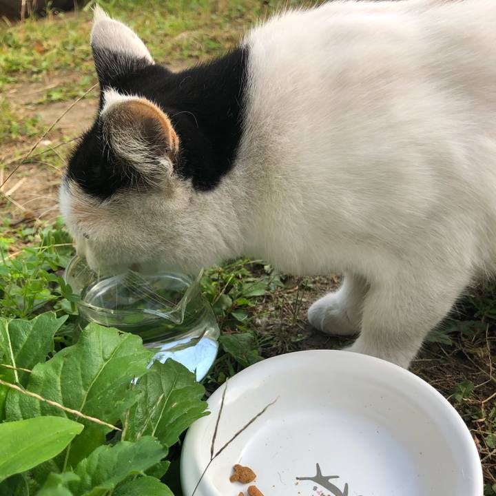 9c9e9f0f 863b 4069 ab6f ab3afb225b16 1601417701120