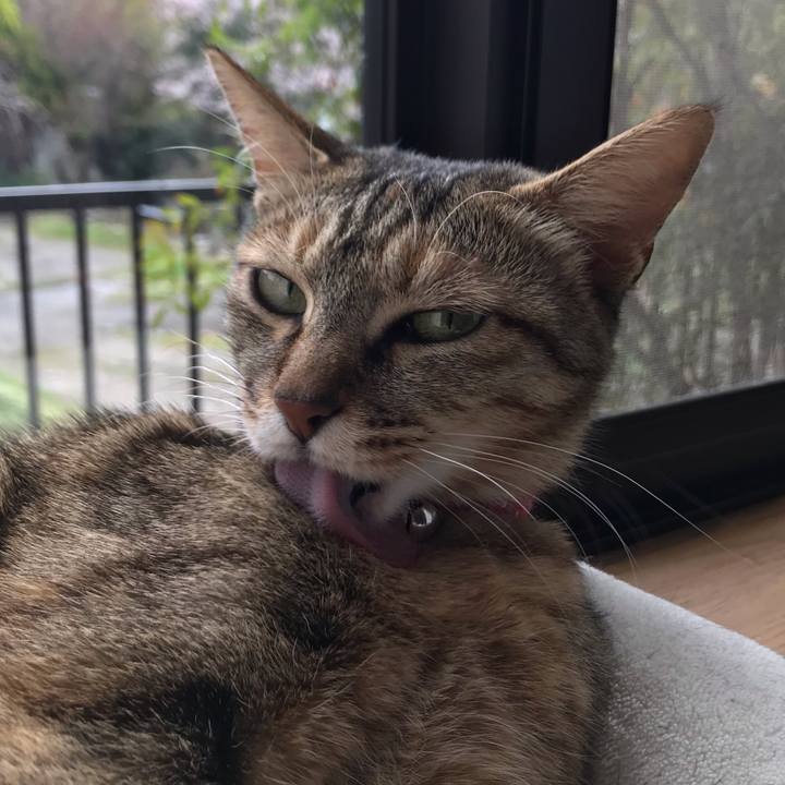 9c9eb697 c859 40a2 8f92 d9a8e64effe7 1585615574425