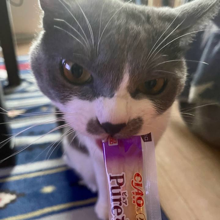 9c9f0163 d479 4821 b6b6 5bc43fed29c4 1663056870625