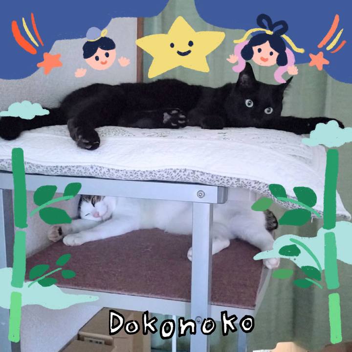 9c9f1161 d07e 42d3 a8ad 3aaa623e4361 1721258711165