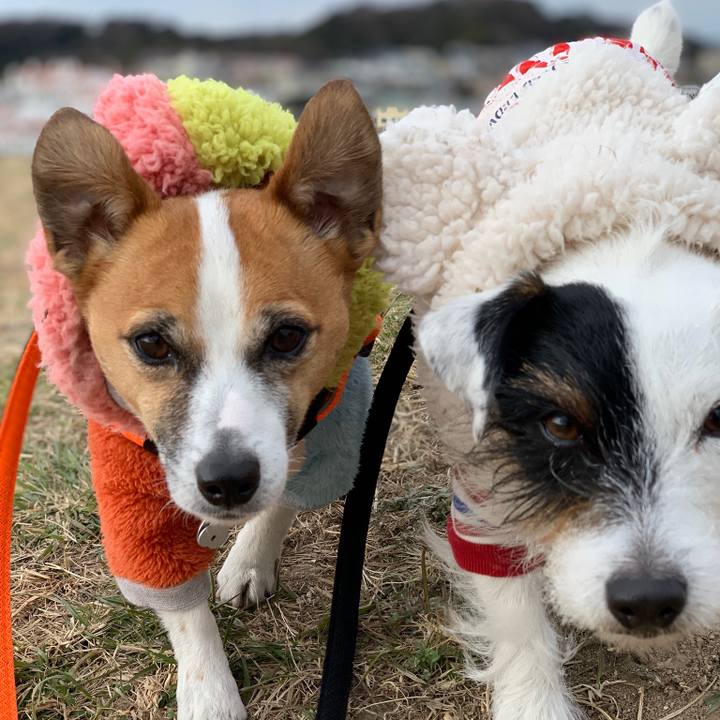 9c9f2b71 30cd 4267 80ac 60c8b5bf4fa6 1548376717138