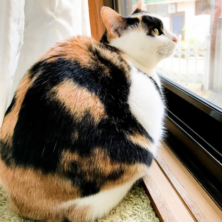 9c9f305b ff06 4ff1 99c3 5d23f74699a1 1517841940870