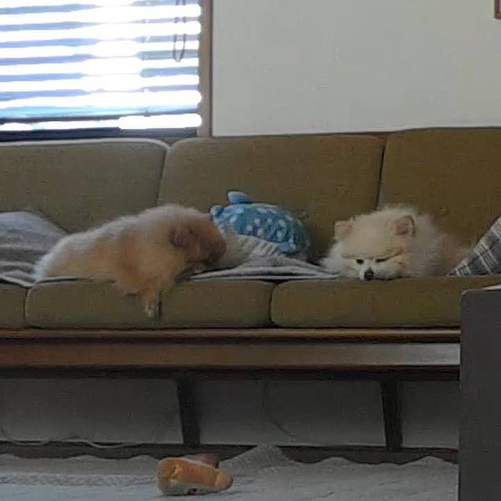 9c9f4017 fe41 45b7 a6ee 878e5b0d7a2e 1770895277574