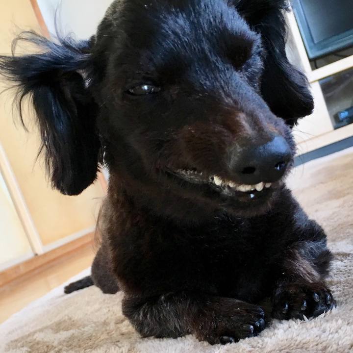 9c9f470e 6134 47ac 9e6a c517f8e48747 1558906664851