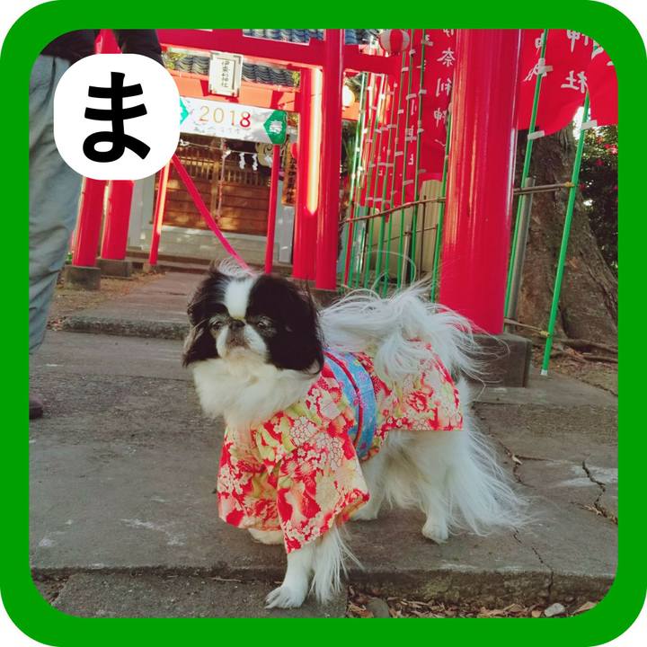 9c9f4a7e 8702 4e88 9c85 34d8dcb671e8 1514857081543