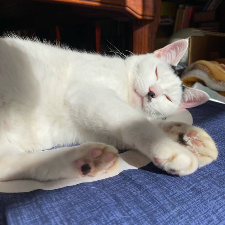 9c9f6998 6431 4c88 aca5 f63e7310308b 1636596926792