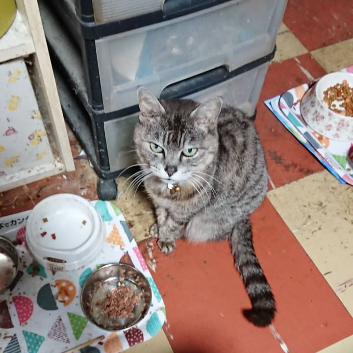 9c9f814c 3b33 4255 adb6 afba431eee93 1590093314024