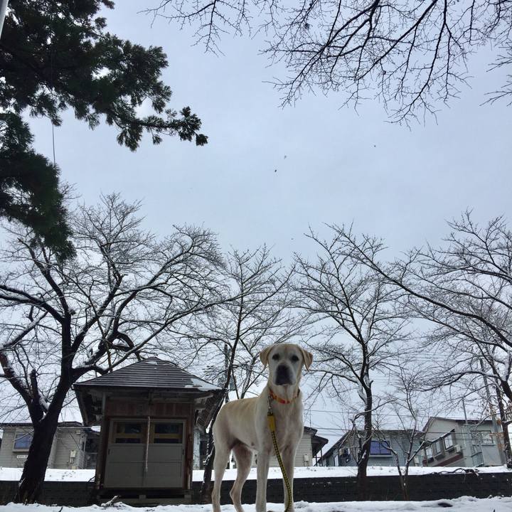 9c9f8932 8a8f 4612 a720 c2affff57b84 1514884163976