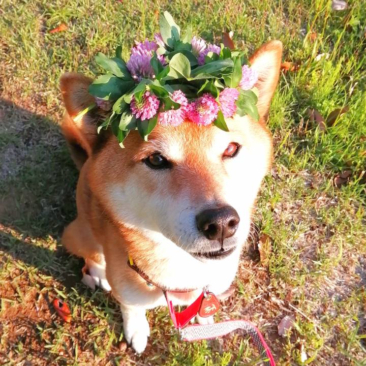 9c9f8f84 9eb6 462b b3e5 12be8e48844c 1651571424889