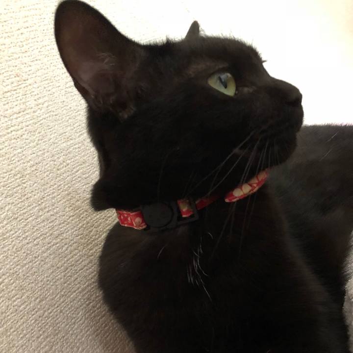 9ca001f3 142a 491d 9458 b7688364b552 1528626525109