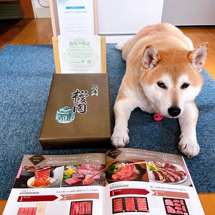 9ca02cb9 b98b 4deb aa2d 902ebed2babd 1715758471510