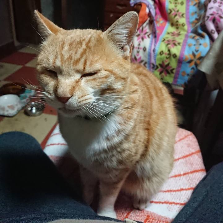 9ca039af c76f 4f31 b110 8adca990f8d1 1584561884184