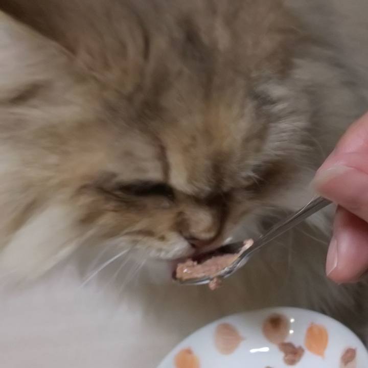 9ca047b7 c2e7 4e37 9212 08725f893786 1605313437204