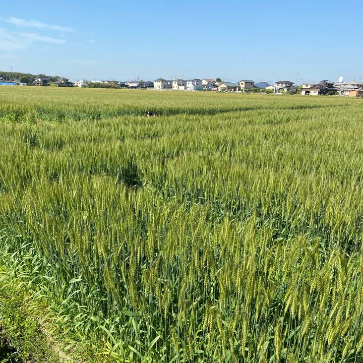 9ca09116 d89c 4f33 9e82 42709b069e40 1618968835037