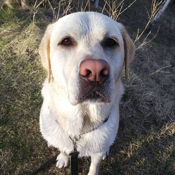 9ca0b58d 58ab 46b8 8c9b f5122a33c404 1557308691283