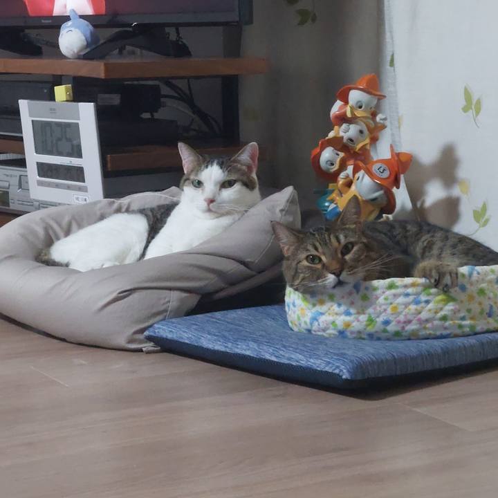 9ca0d63f abd1 4e60 934a 3649e844a811 1632921963891