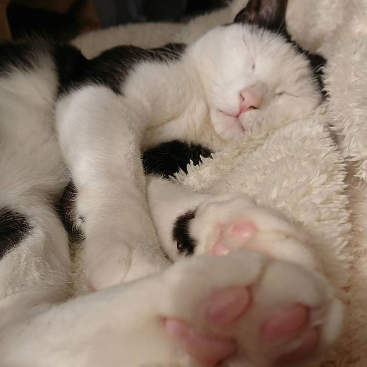 9ca0deed 46ef 4c99 be84 3b99a87ad9ef 1518760393599