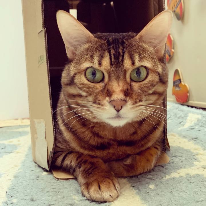 9ca0e557 176e 41ff 9e7d a0c7cd35065e 1616282003887