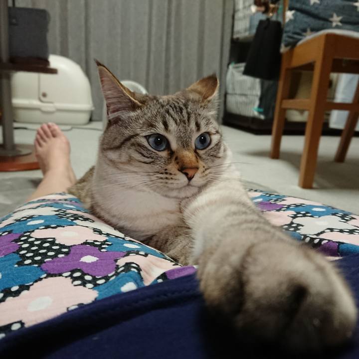 9ca0eb9a cddc 4d5f b84c 87a269294c0c 1556975408210