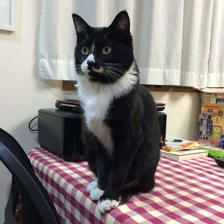 9ca10c4b d567 4c4d 85ad 58c34643b50c 1514433313613