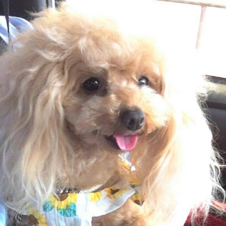 9ca11013 286e 4891 83eb 74ff23088709 1558876394255