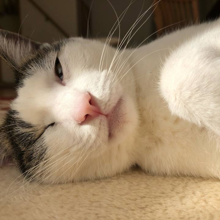 9ca122f9 2292 4c01 96de d4359a252605 1674888569063