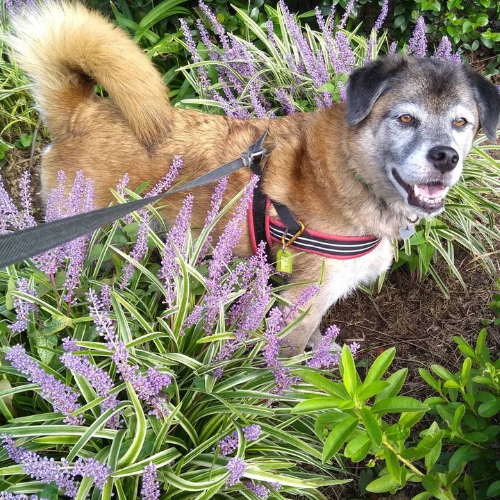 9ca130ba b275 487f 8938 6c9d847639d2 1569369708908