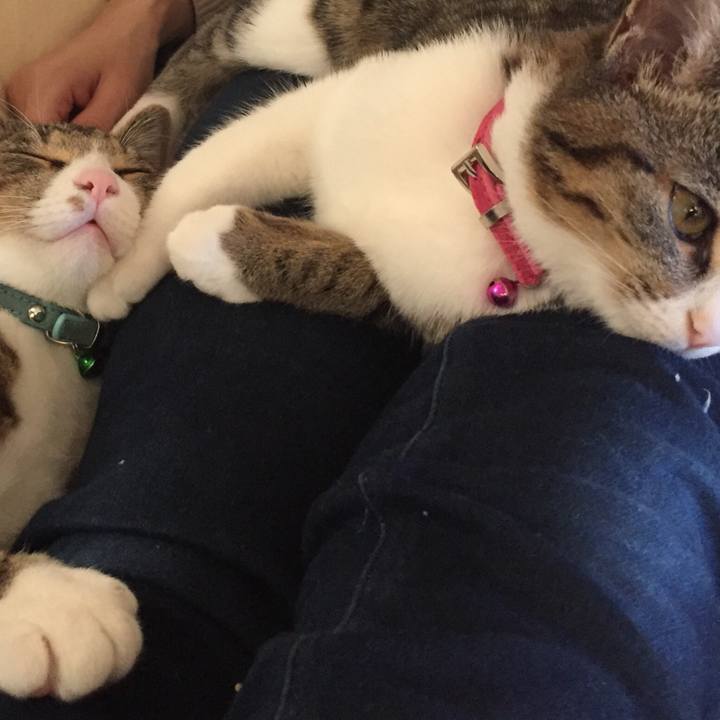 9ca18e94 4cad 430c 9e16 4faa3c338d03 1659193365386