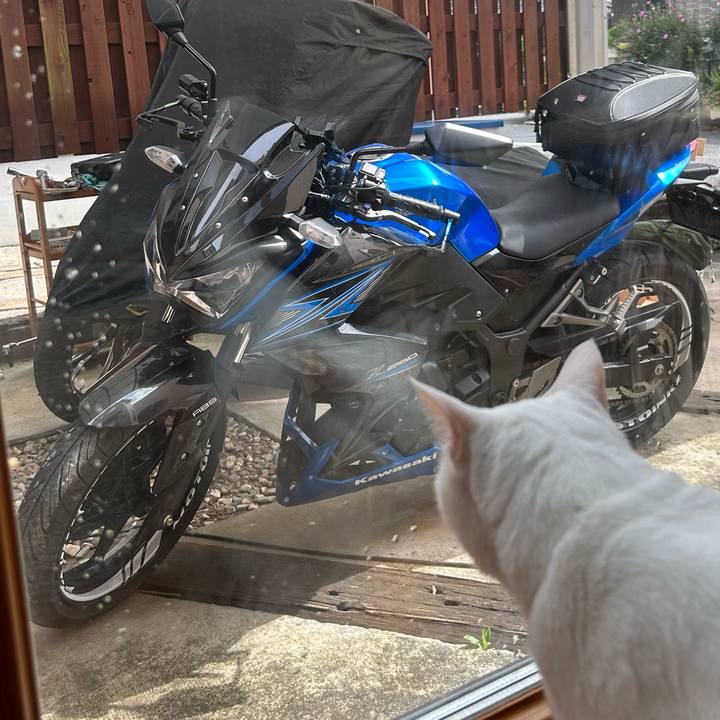 9ca1d440 1125 4069 ac70 3a841c3ca233 1688536252602