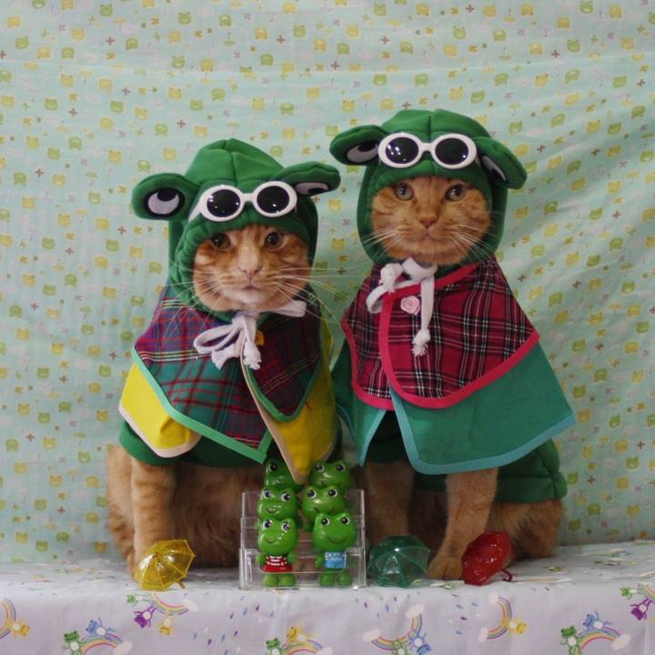 9ca1e449 3ac2 4536 ae28 b138abfe0996 1749720171844