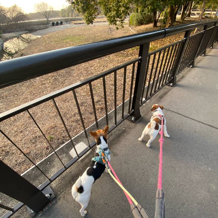 9ca1ed2c 0ea8 4612 8010 d2cfc779e2ac 1771854245579