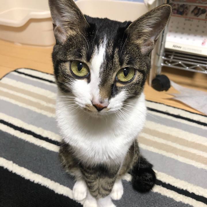 9ca1fa98 da4d 416d a279 ca3fc744f047 1610031854635