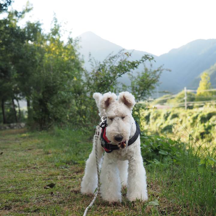 9ca2038b 52cd 4a1f aa2d c925219c6449 1569329586349