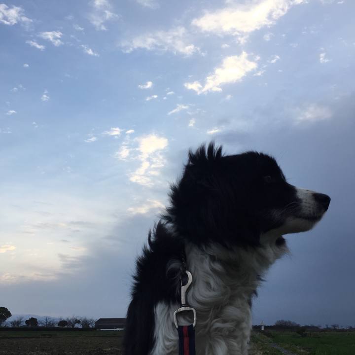 9ca206ec 8dd6 4f95 ad7e 07d814fde488 1579907821838