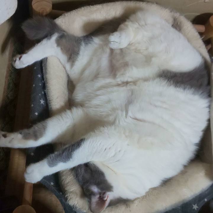 9ca257ba b87b 4700 9070 8b761899b177 1762837428739