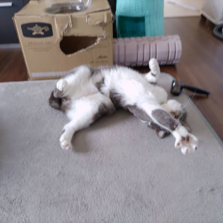 9ca26e6f df3f 4c2c 9e61 95444b30a162 1713667870600