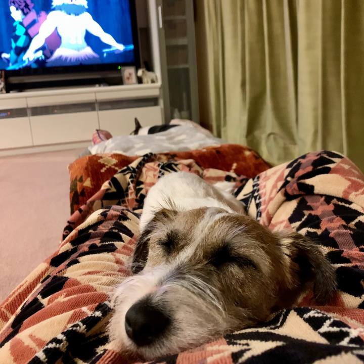 9ca2b215 bb5d 41d4 9e36 ed63ba9bfc19 1605873910301