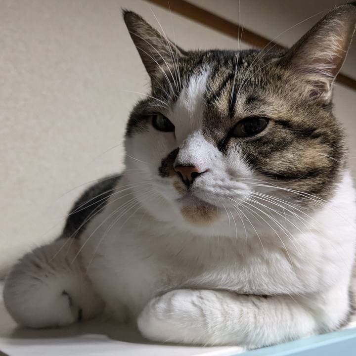 9ca2eb46 e743 4357 99a3 8bb7deea45d3 1731411185041