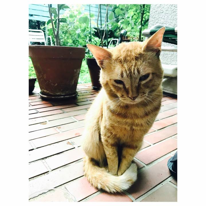 9ca32249 017d 4981 872b fb832684cf0c 1657764951015