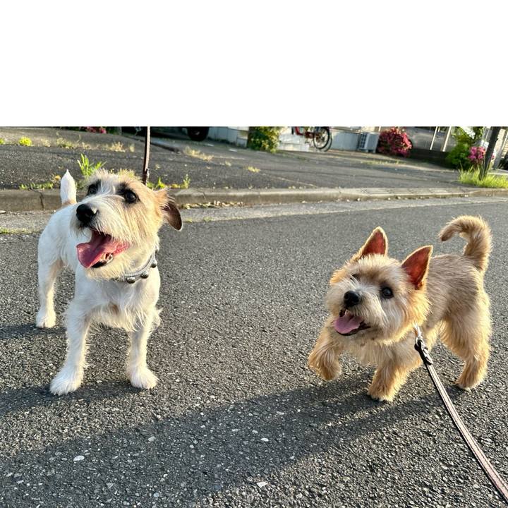 9ca3248c b686 4345 a457 2fcc9746d18f 1716048576341