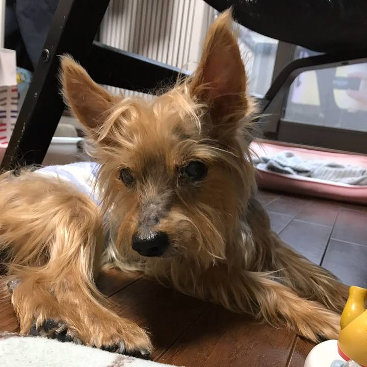 9ca35013 dac7 4781 87f2 af2069e4d835 1681085433316