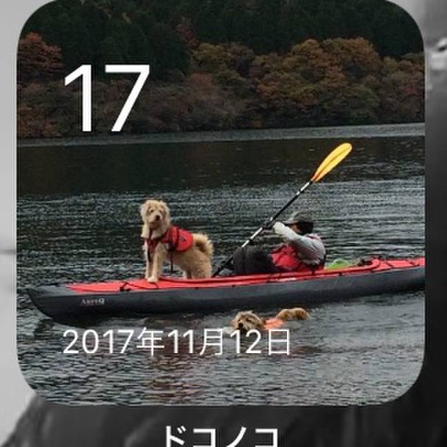 9ca352f8 d04b 4e8e 8f07 8e9bc8d28a87 1637151469639