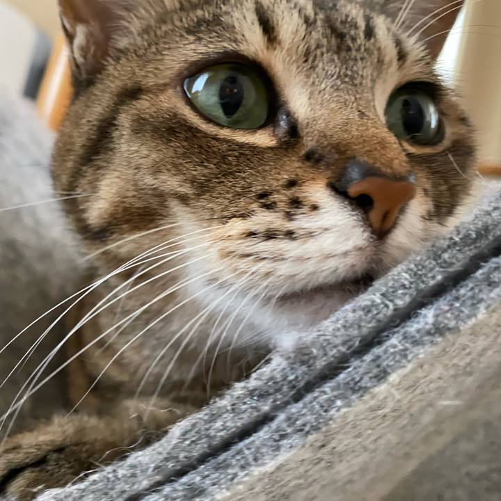 9ca36265 902d 4ad4 a046 cc7254e7a933 1774859082117