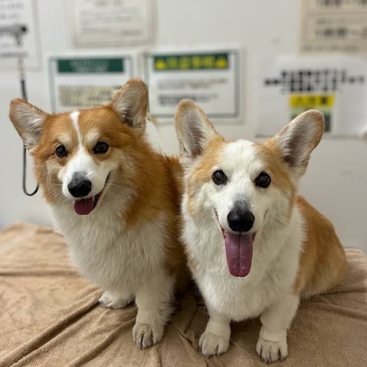 9ca364f0 7429 472f 912b 416b123fee13 1776243956552