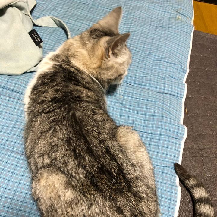 9ca37848 a847 41eb a79c b61311e7a37a 1562538512366