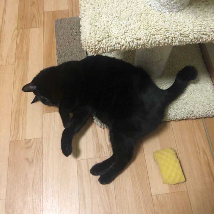 9ca393cb 482b 4b98 a0ca 61ad8d51814f 1557906082220