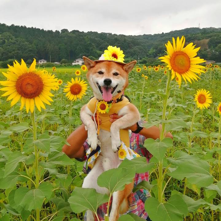 9ca3995d 72c5 4f83 8169 8208f00bef16 1692327940282